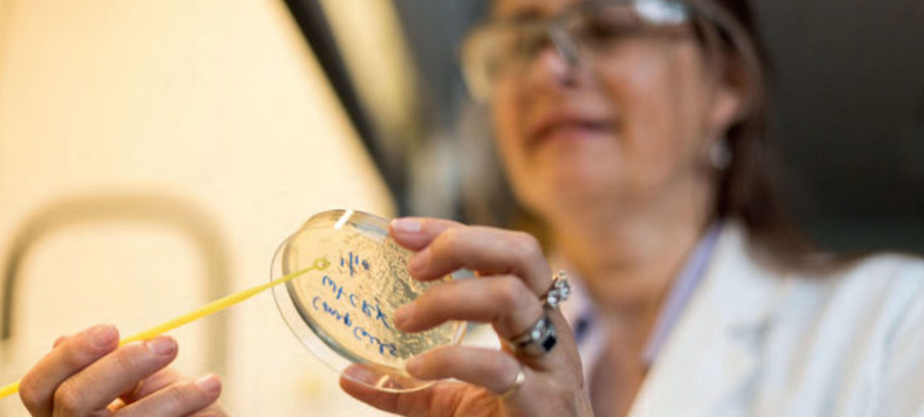 A lab assistant holding a petri dish