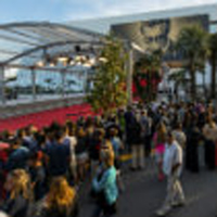 Interning at Cannes: Two students make connections at an international film festival
